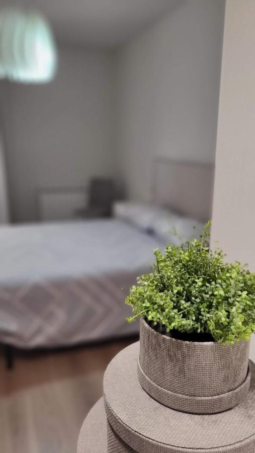 Apartamento Palacio De Los Toledo 科雷拉 外观 照片